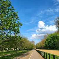 Hidden Gem in London - Hyde Park