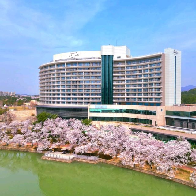 보문호수뷰가 일품인 라한셀렉트