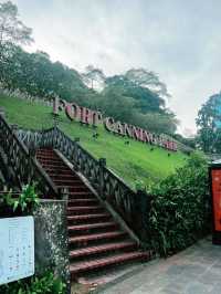 จุดถ่ายรูปยอดฮิต ปักหมุด Fort Canning Tree Tunnel