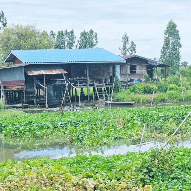 ร้านขจี คาเฟ่