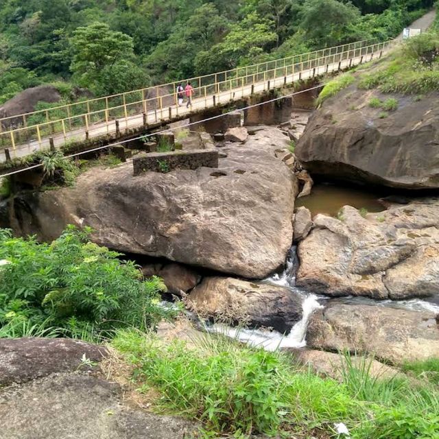 Hidden beauty of Munnar 