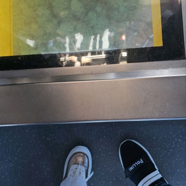 三種不同的纜車，欣賞藍山國家公園的美麗景觀🏔