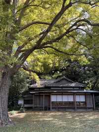 東京【駒込】六義園