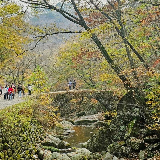 Unesco World Heritage Temple in Suncheon