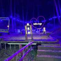 Magic After Dark at Forest of Light Garden