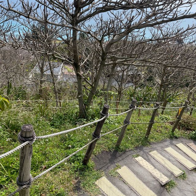 山度空间, 花莲