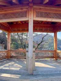 대구 시내를 한눈에 구경할 수 있는 곳🏞️