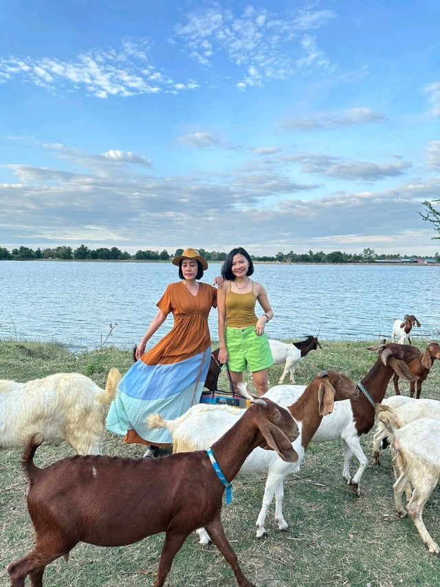 ดูแพะชมพระอาทิตย์​ เขื่อนป่าสักชลสิทธ์