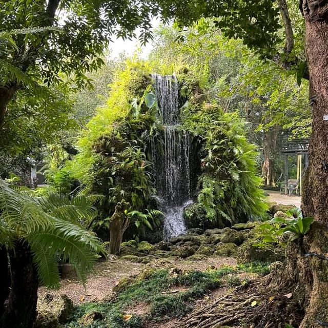 แอ่วสวนส้มปรีชา
(Preecha Farm)
