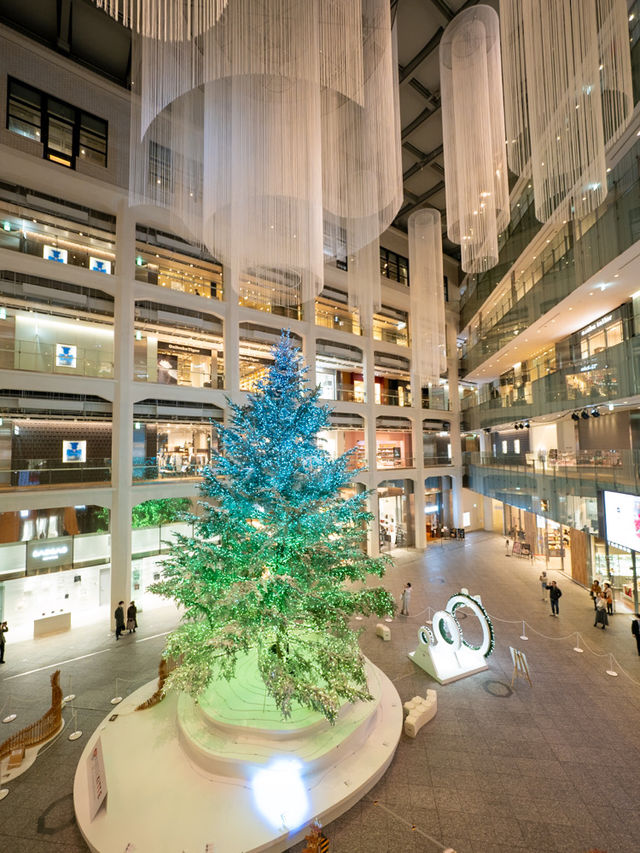 【毎年大人気のイルミネーション！✨】無料で回れる丸の内イルミに行くべき！🎄