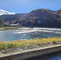 สวนป่าไผ่อาราชิยาม่า Arashiyama, Kyoto