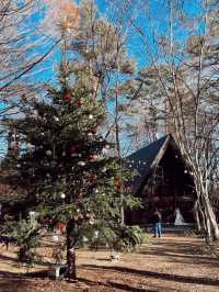 輕井澤🇯🇵限定聖誕版的「高原教堂」🎄