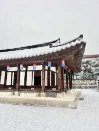 강원도 안 가도 눈꽃 구경 제대로 할 수 있는 서울 숨은 명소❄️