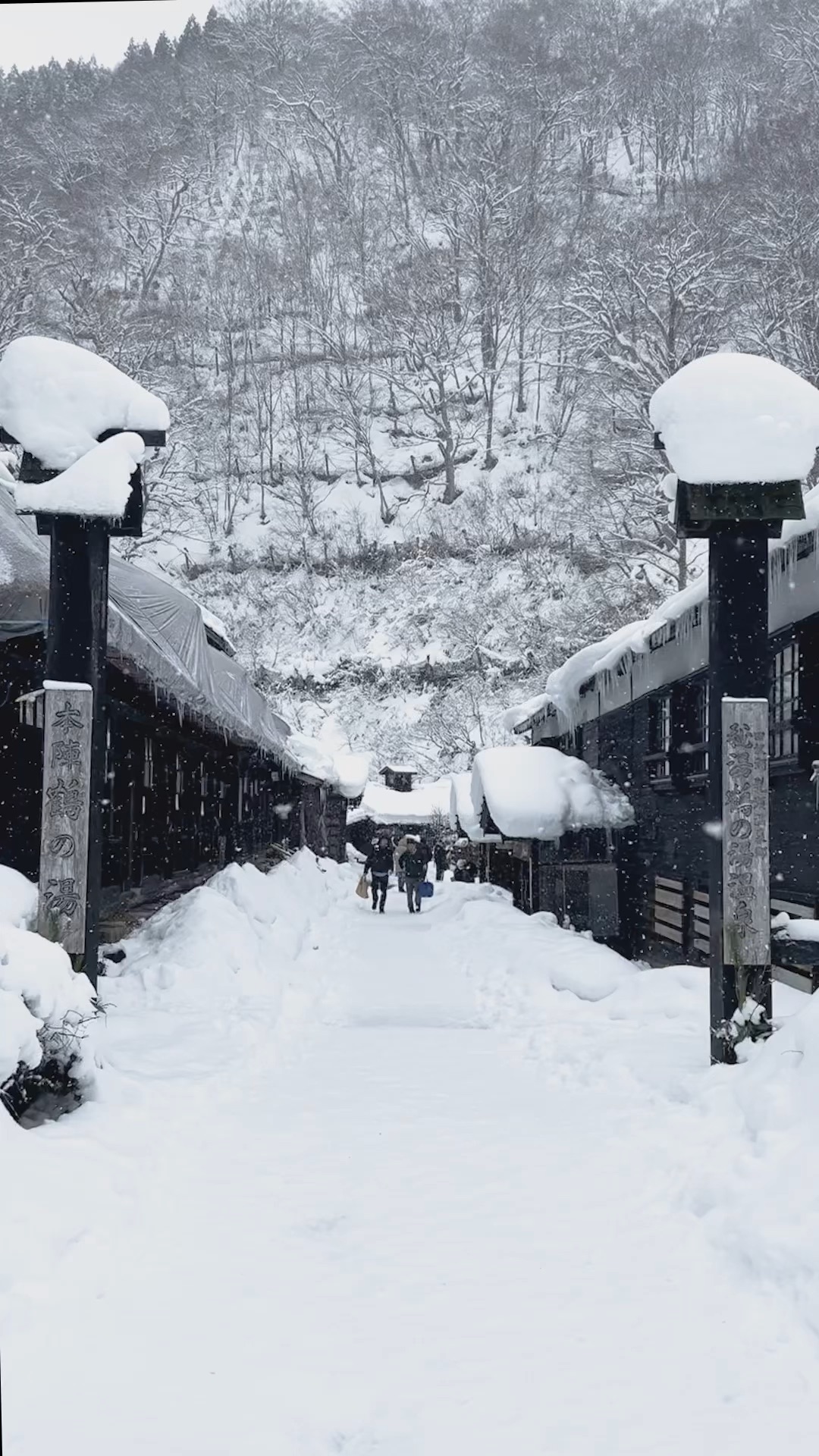 【秘湯♨️】雪降る時期に一度は訪れたい乳頭温泉郷　鶴の湯温泉❄️ | Trip.com 仙北市