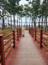 겨울바다가 아름다웠던 장사상륙작전 기념관(장사해수욕장) ❤️