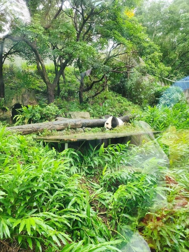 台灣親子遊景點