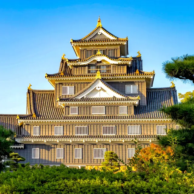 Okayama Castle