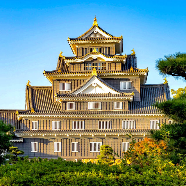 Okayama Castle