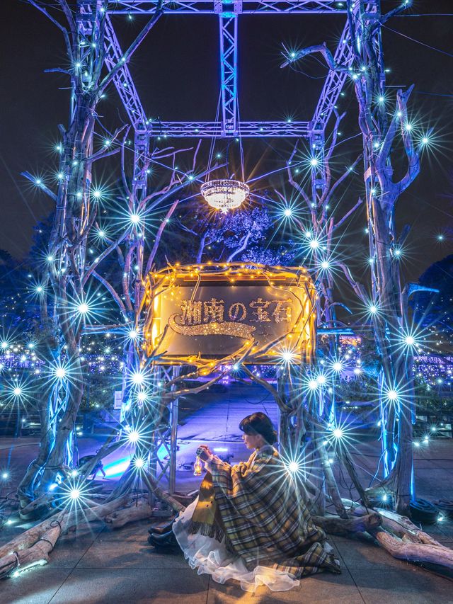 関東三大イルミネーション『湘南の宝石』💎✨✨