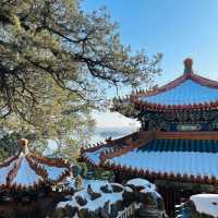 ☃️⛩️ Visit The Summer Palace ⛩️☃️ 