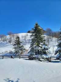 눈쌓인 동물체험장 어떤데🥹❄️