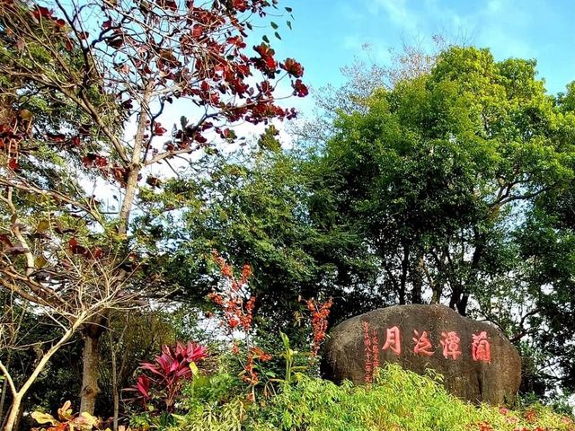 「嘉義蘭潭風景特定區」湖光山色，絕對值得一遊！