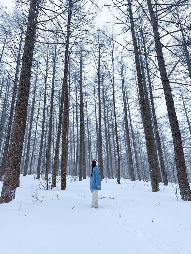 해발 1330m 한국에서 차로 올라갈수 있는 가장 높은 곳🩵