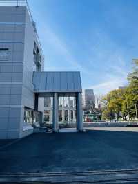 【愛知県】市民の憩いの場「白川公園」
