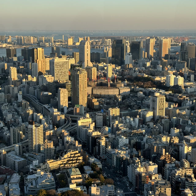 One of the best sunset spot of Tokyo 