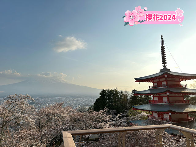 【💮新倉淺間神社💮】日本🇯🇵宣傳照的原模型：富士山🗻、櫻花🌸、五重塔🏯，一張盡收眼簾下。