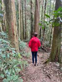 苗栗泰安一日遊～
