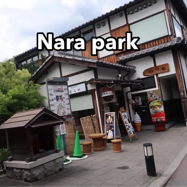 สวนกวาง Nara Park🦌🦌