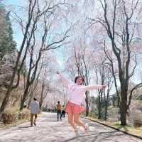 広島県　世羅　甲山ふれあいの里