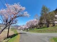 Asahigaoka Park