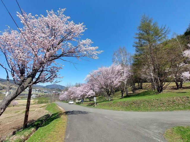Asahigaoka Park