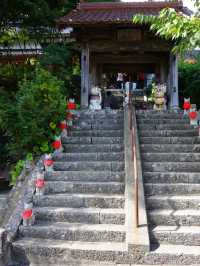 【山口】猫好きさん必見！猫だらけのお寺♡