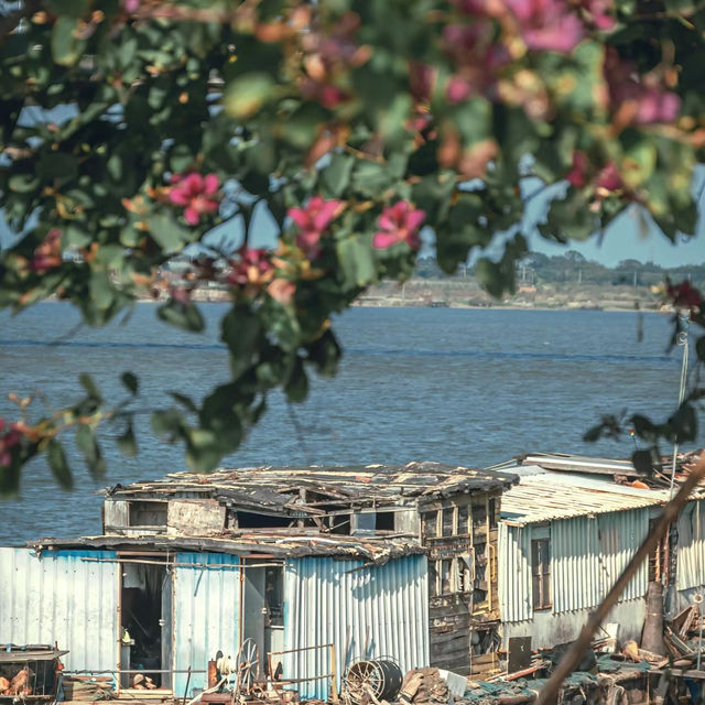 正濱漁港～難忘海鮮饗宴