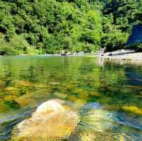 咖啡山森林保護公園：原生態環境、豐富生物、戶外活動，親近大自然