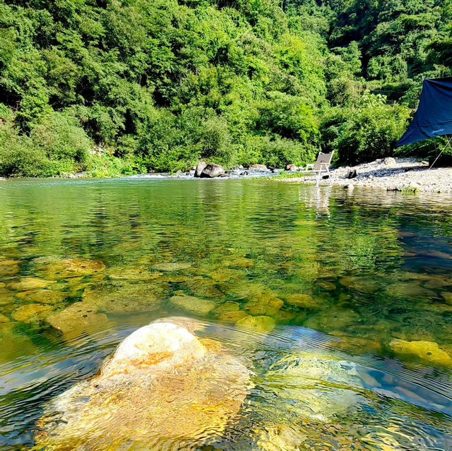 咖啡山森林保護公園：原生態環境、豐富生物、戶外活動，親近大自然
