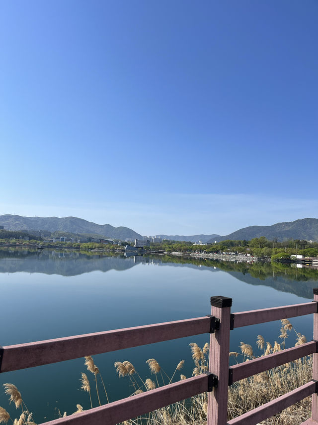 경산에서 뷰가 가장 예쁜 산책 명소 ❤️