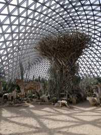 上海旅遊景點：全亞洲最大展覽溫室