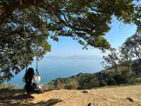 ［福岡忘憂聖地］能古島🏝️（1）：四季也有不同的花海，令人心曠神怡‼️