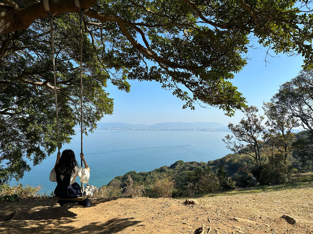 ［福岡忘憂聖地］能古島🏝️（1）：四季也有不同的花海，令人心曠神怡‼️