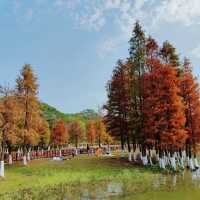 後灘濕地公園:自然王國