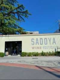 まるで南フランス🍷🇫🇷優雅なワイナリーでおしゃれな休日をすごしませんか？😋🤍【山梨・甲府】