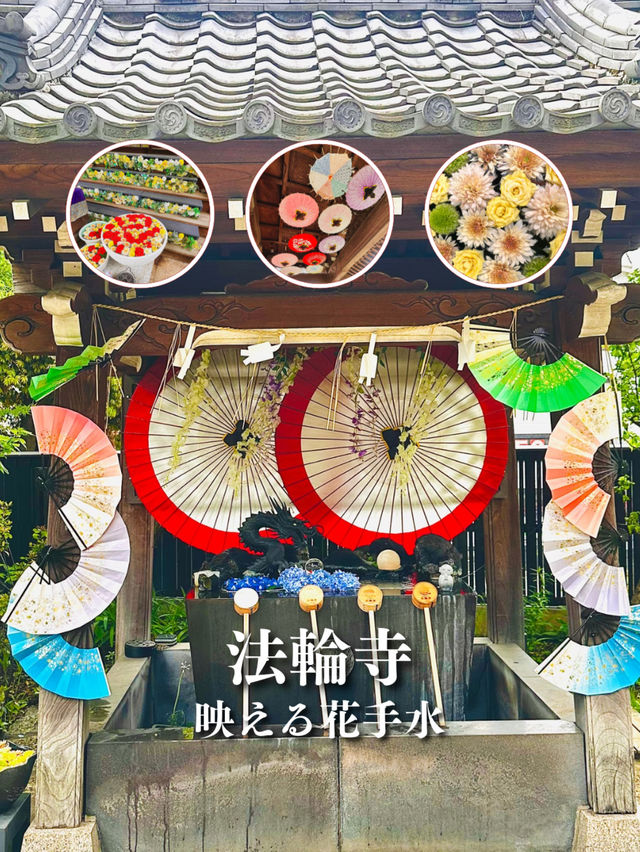 【今話題‼️花手水の映えスポットが早稲田に‼️】
