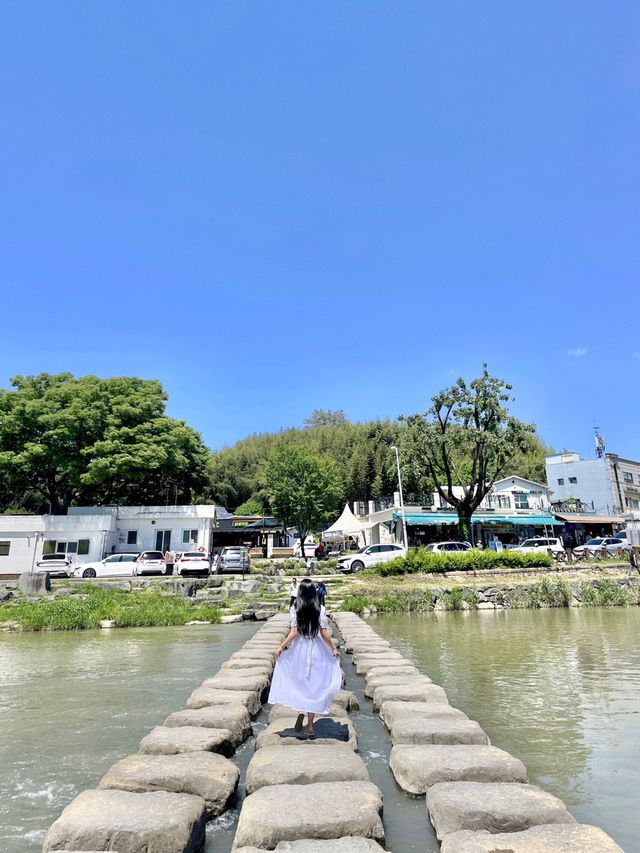 🎋 인생 첫 담양 여행 죽녹원 다녀왔어요!💚