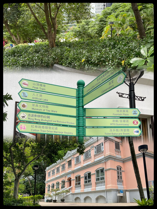 🌳春日探索香港公園的綠意之美🌸