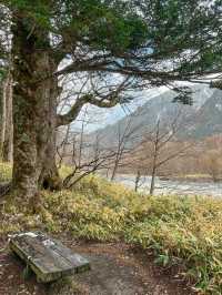 เดินเทรลในป่าสุดโรแมนติกที่ Kamikochi🌿❄️