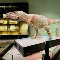 Exploring Wonders: Hong Kong Science Museum